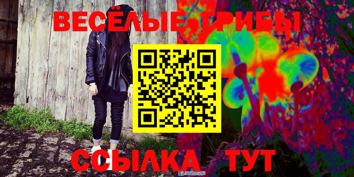 Москва  Галлюциногенные грибы Psilocybe  Вход с VPN 